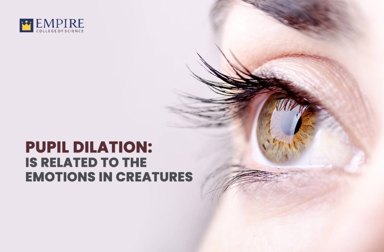 PUPIL DILATION: IS RELATED TO THE EMOTIONS IN CREATURES